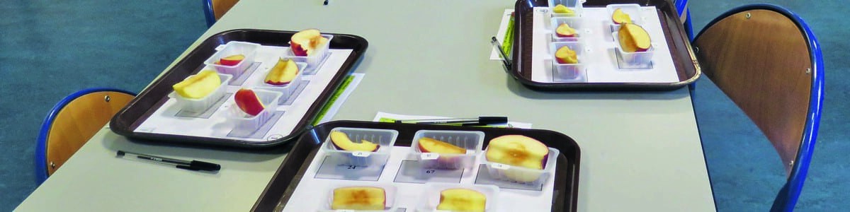 Les préférence gustatives des enfants sur des pommes de petit calibre Les préférence gustatives des enfants sur des pommes de petit calibre