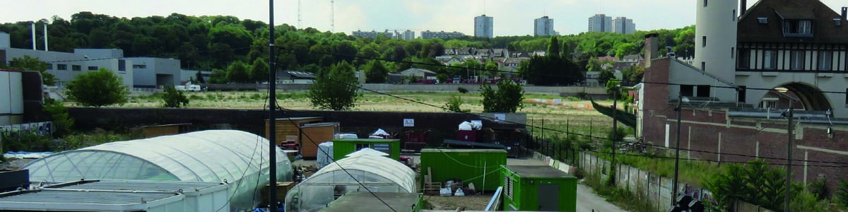 L'agriculture urbaine en fruits et légumes frais - Effet de mode ou réelle tendance ? L'agriculture urbaine en fruits et légumes frais - Effet de mode ou réelle tendance ?