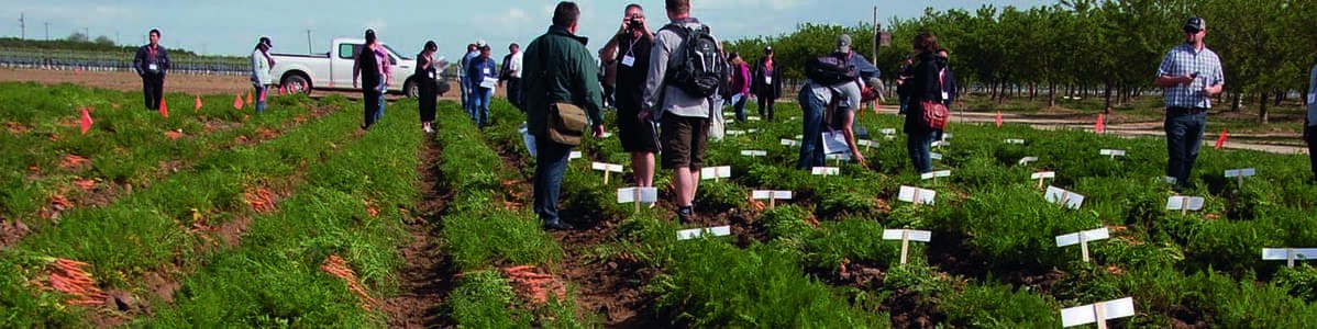 38e Conférence internationale carotte - Les dernières avancées techniques 