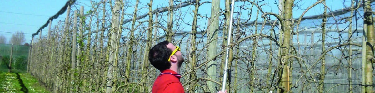 Caractériser la végétation par des indicateurs simplifiés - Prémices vers l'adaptation des doses en arboriculture Caractériser la végétation par des indicateurs simplifiés - Prémices vers l'adaptation des doses en arboriculture