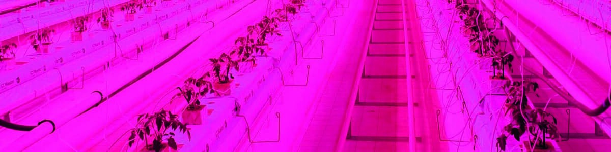 L’éclairage LED - Une technologie en pleine évolution L’éclairage LED - Une technologie en pleine évolution