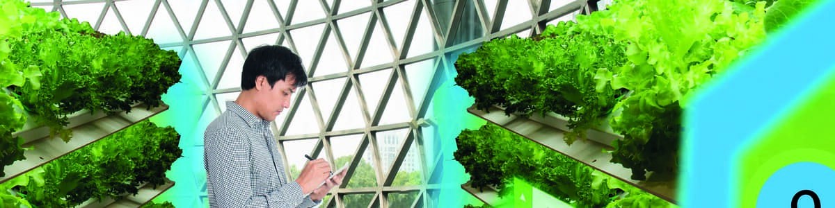 Les serres urbaines en toiture - Un défi technique et économique Les serres urbaines en toiture - Un défi technique et économique