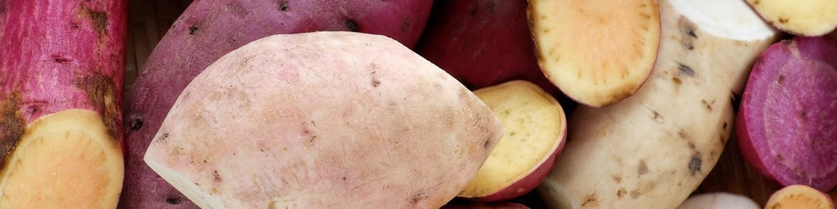 Production, économie, distribution - La patate douce, une nouvelle filière française ou un effet de mode ?