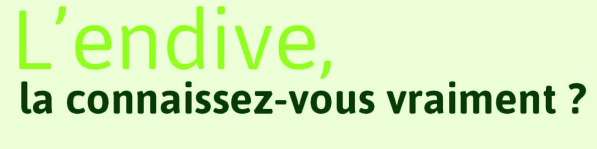 L’endive ou l’odyssée d’un bourgeon L’endive ou l’odyssée d’un bourgeon