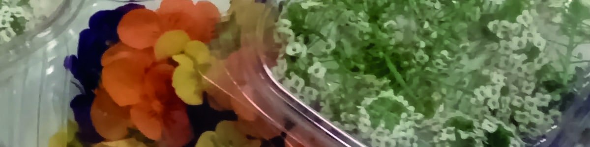 Les fleurs comestibles, un potentiel exotique Les fleurs comestibles, un potentiel exotique