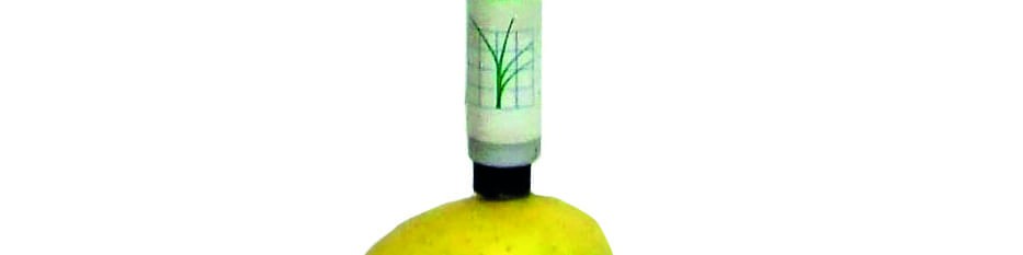 Sensibilité aux meurtrissures des pommes - L'indice Sensifel© note des nouvelles variétés Sensibilité aux meurtrissures des pommes - L'indice Sensifel© note des nouvelles variétés