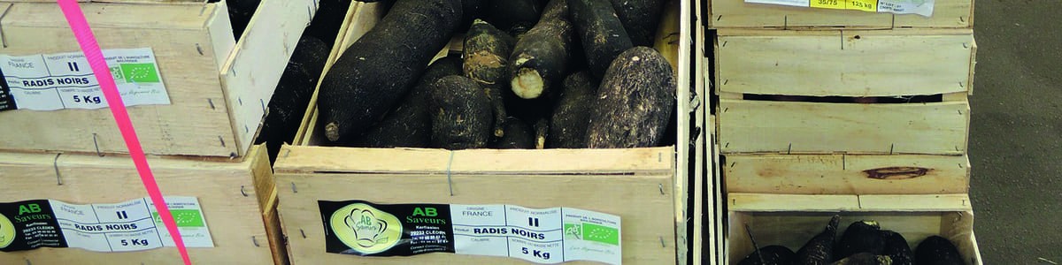 Le marché des fruits et légumes bio - Satisfaction et attentes de la distribution Le marché des fruits et légumes bio - Satisfaction et attentes de la distribution