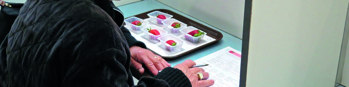 Préférences gustatives des adultes en fraises de saison - Bilan de trois années d'études (2015-2017)