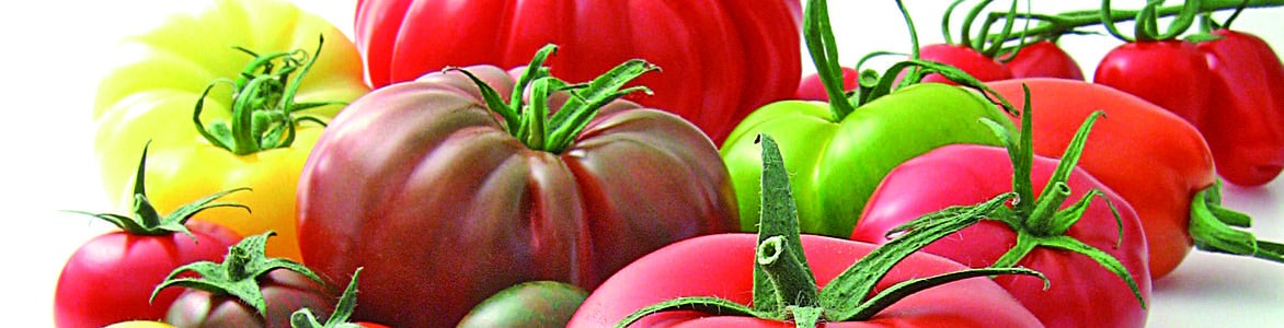 La segmentation de la tomate - Synthèse de dix années de caractérisation sensorielle et physico-chimique
