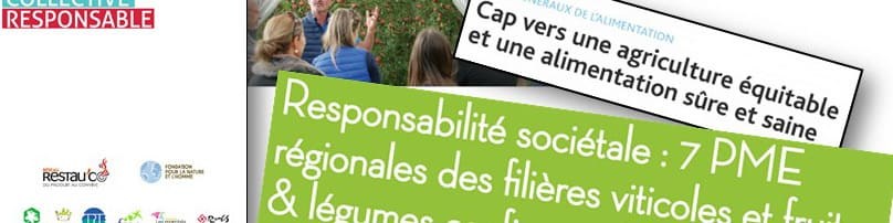 La responsabilité sociétale des entreprises. Quelles stratégies pour la filière des fruits et légumes ?