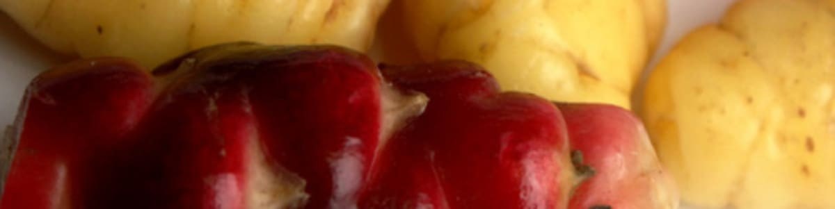 Légumes anciens en perpétuel renouveau Légumes anciens en perpétuel renouveau