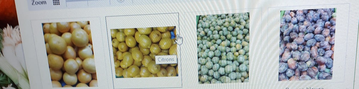 Vente des fruits et légumes par internet ! Quel est le cadre réglementaire en vigueur ? Vente des fruits et légumes par internet ! Quel est le cadre réglementaire en vigueur ?