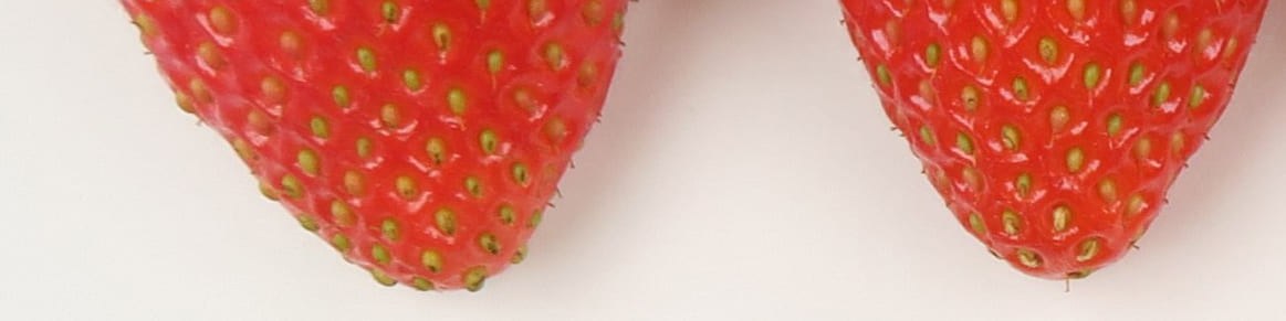 Fraise - L’herbacée du plaisir Fraise - L’herbacée du plaisir
