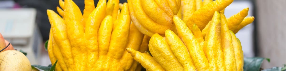 Les agrumes typiquement exotiques Les agrumes typiquement exotiques