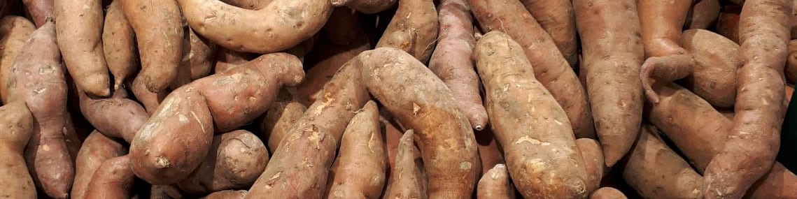 La patate douce revient en force ! La patate douce revient en force !