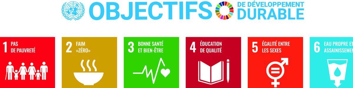 La responsabilité sociétale des entreprises (RSE) au stade détail - Une démarche citoyenne qui fait des émules La responsabilité sociétale des entreprises (RSE) au stade détail - Une démarche citoyenne qui fait des émules