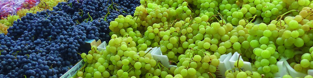 Le raisin, le fruit phare de l'automne Le raisin, le fruit phare de l'automne