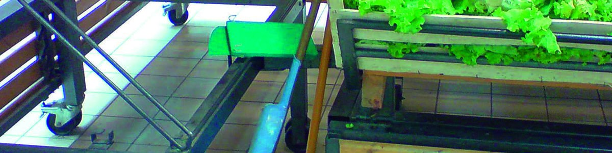 L'hygiène des fruits et légumes en point de vente - Des connaissances et une pincée de bon sens L'hygiène des fruits et légumes en point de vente - Des connaissances et une pincée de bon sens
