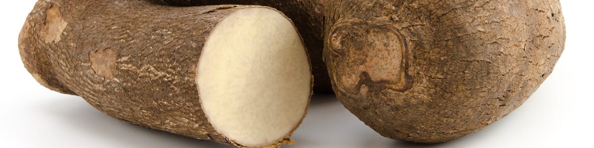 Au commencement des racines et tubercules tropicales Au commencement des racines et tubercules tropicales