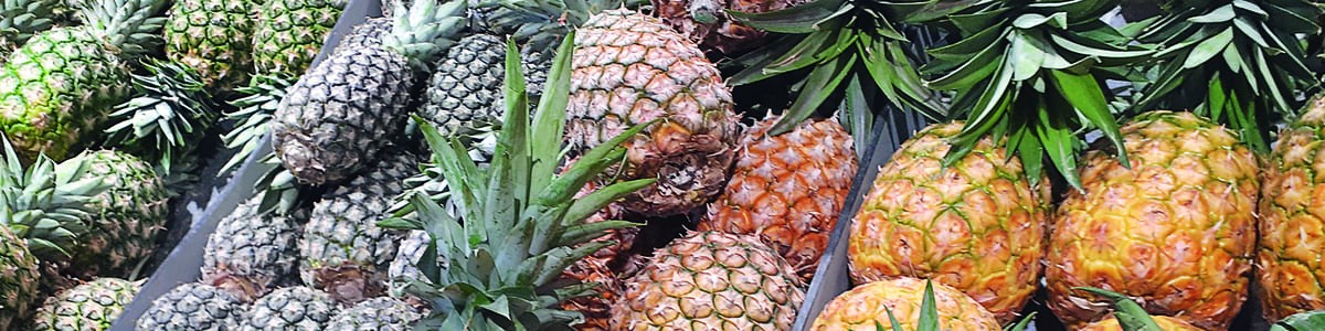 L’ananas : un multifruit bien juteux ! L’ananas : un multifruit bien juteux !