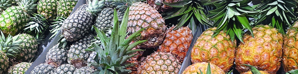 L’ananas : un multifruit bien juteux !