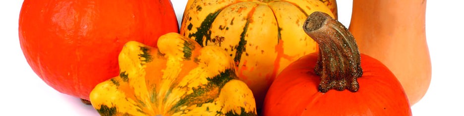 Les courges comestibles Les courges comestibles