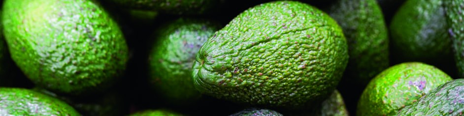 L’avocat, l’incontournable des salades L’avocat, l’incontournable des salades