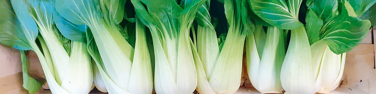 Les légumes feuilles asiatiques : un indispensable du rayon