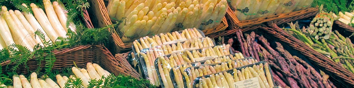 L'asperge L'asperge