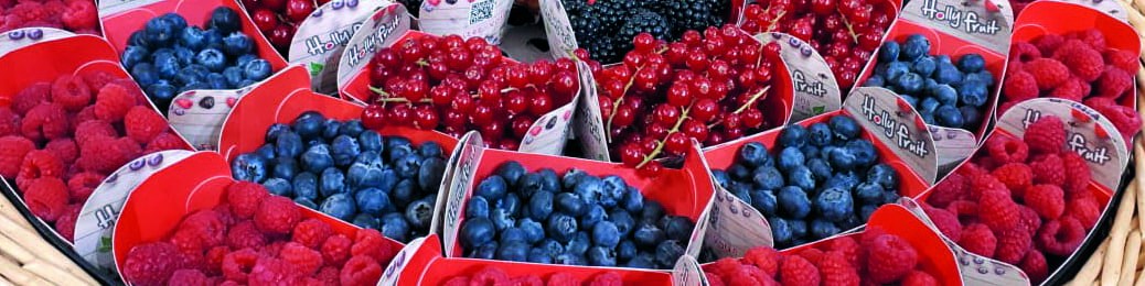 Les petits fruits rouges : un segment en plein essor !