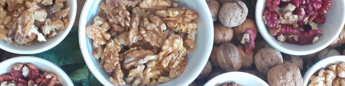 Noix commune et noix de pécan : une demande croissante Noix commune et noix de pécan : une demande croissante