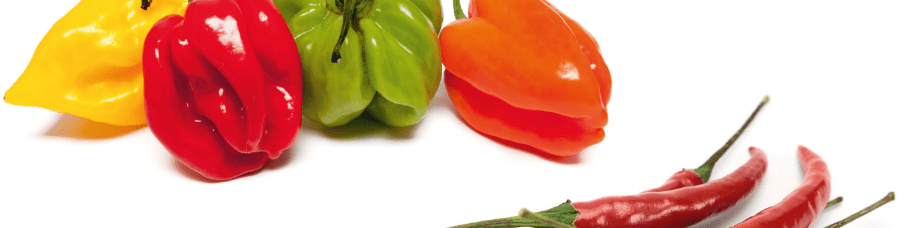 Le piment : qui s'y frotte s'y brûle Le piment : qui s'y frotte s'y brûle