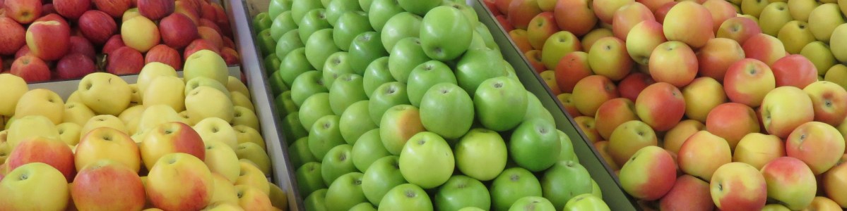 Quels sont les changements de comportements des consommateurs de fruits et légumes ? Quels sont les changements de comportements des consommateurs de fruits et légumes ?
