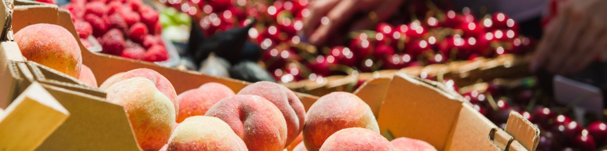 La mesure des effets prix et météo sur les achats des ménages de fruits et légumes La mesure des effets prix et météo sur les achats des ménages de fruits et légumes