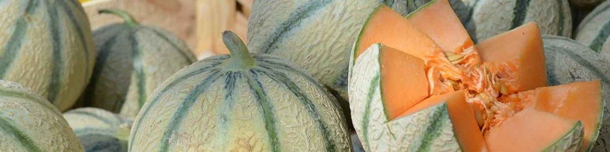 Préférences des consommateurs et qualité sensorielle du melon : les évolutions en 10 ans 