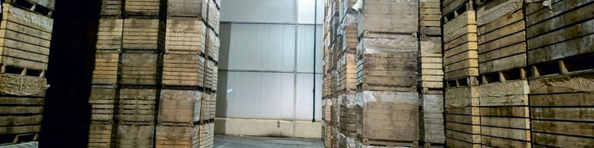 Résultats d'enquêtes : consommation énergétique des endiveries 