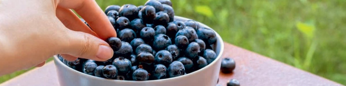 Consumer expectations and nutritional quality: the benefits of blueberries 
