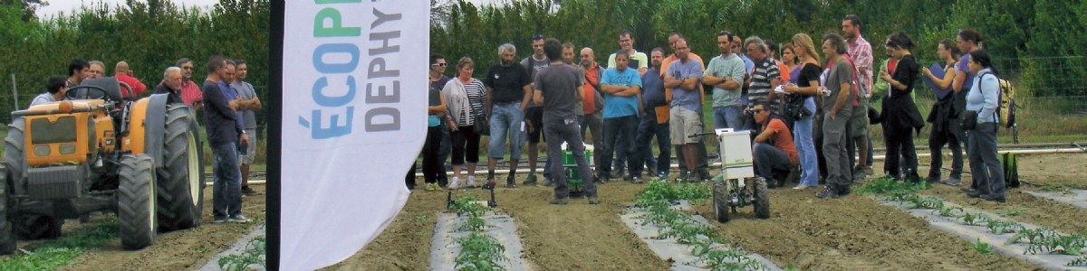 Le nouveau visage du réseau DEPHY en arboriculture et cultures légumières