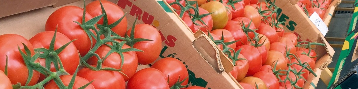 Variétés grappes : Faites votre choix