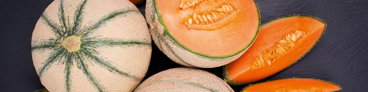 Le melon charentais : un incontournable de l'été