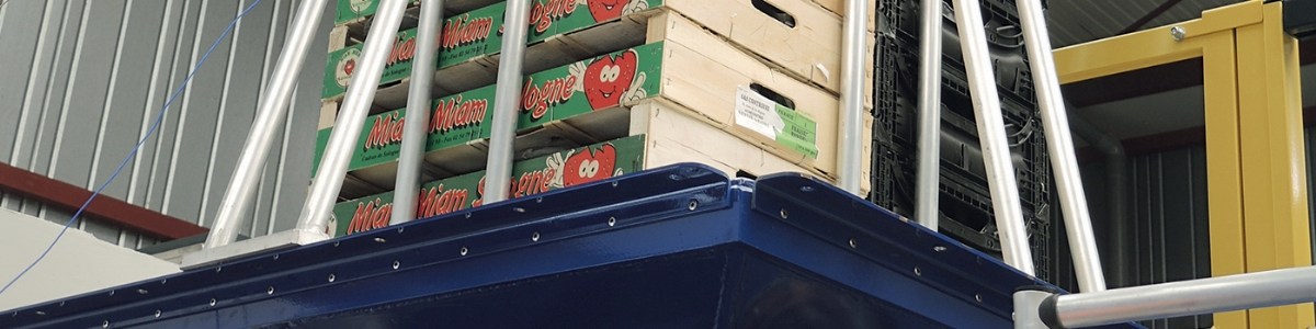 Impact des chocs et des vibrations sur la qualité des fraises au cours du circuit logistique