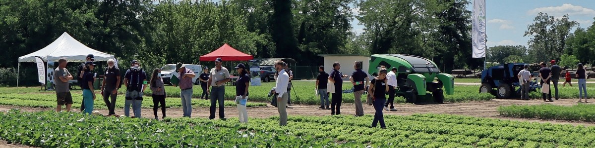 Robotisation et automatisation en fruits et légumes : quelles solutions existent aujourd'hui ?