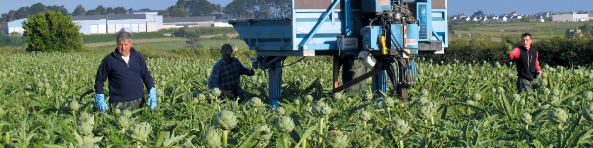 Démarches Qualité et RSE de la filière des fruits et légumes, les tendances 2022