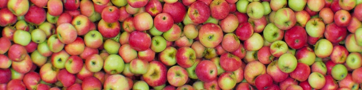 PIXFEL© NG, outil d'évaluation rapide de la qualité des pommes à la récolte