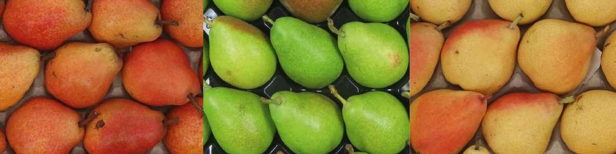Préférences gustatives des consommateurs de poires et opportunités pour diversifier l'offre 