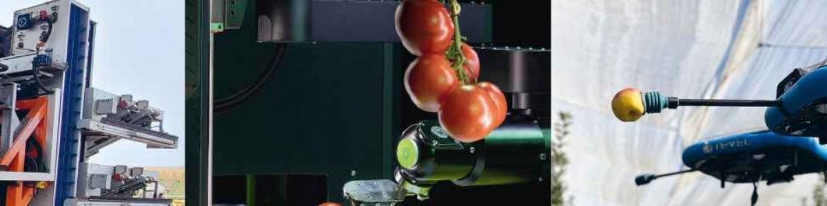 Robotisation de récolte, gestion de l'eau, acclimatation d'espèces : des opportunités venues d'Israël 