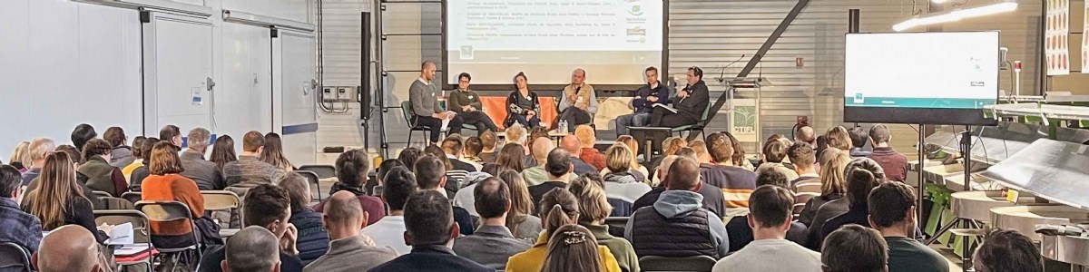 Stratégie et positionnement du melon sur le marché et enjeux de la production 
