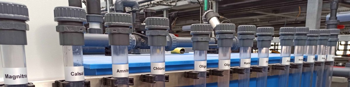 Variabilité de résilience de la tomate en serre chauffée, sous contrainte énergétique et nutritive 