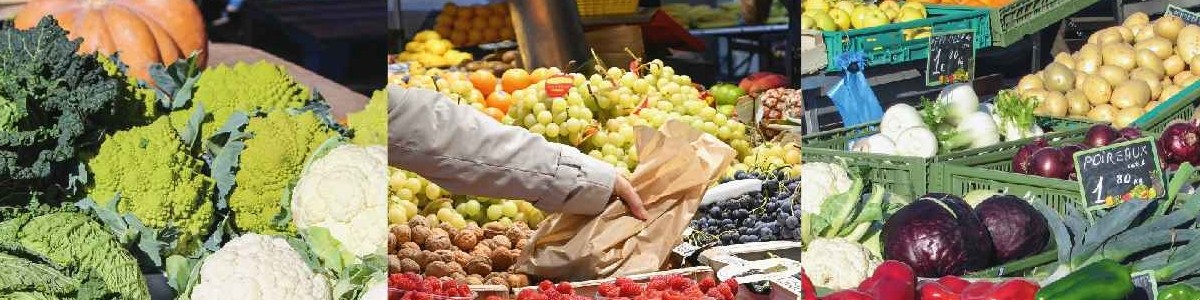 Flux de la filière Fruits et Légumes 
