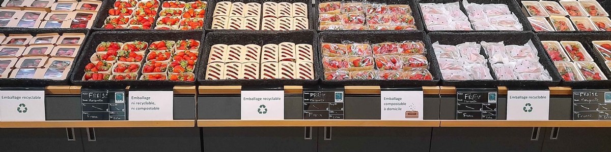 Performances des solutions d'emballage alternatives au plastique pour les fraises 